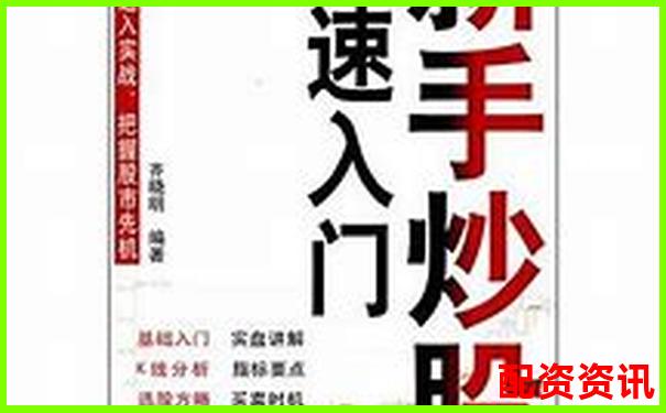 杠桿炒股實戰(zhàn)指南 從入門到精通的操盤技巧-股票配資論壇網(wǎng)站有哪些